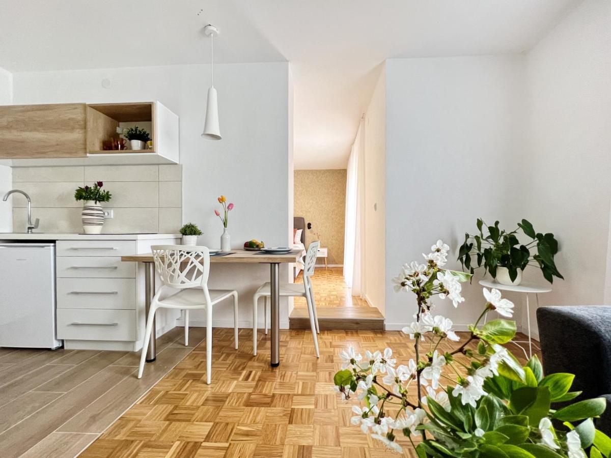 Apartments Valerian Novigrad Istria Dış mekan fotoğraf